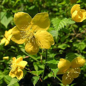 R c@d炫@}uLiRj3|bgA@c؁@܂Ԃ@t̏ꍇ܂B