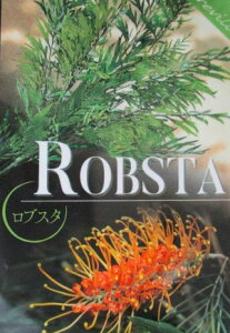 グレビレア  ロブスタ 5寸ポット植え 苗 苗木 庭木 オージープランツ