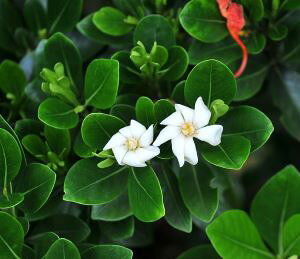 N`iV@c@c؁@h[teBAi^q`N`iVEeBA^q`j5A@ԕt̗ǂeBAłI