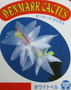 f}[NJN^X@zCgxiVRoT{ej6A