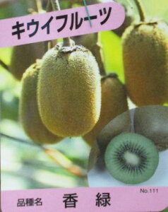 キウイ 花 農業資材 ガーデニング用品の人気商品 通販 価格比較 価格 Com