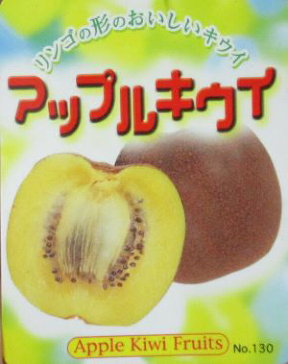 楽天市場】キウイ 苗木 キウイフルーツ：アップルキウイ（メス木）苗木 