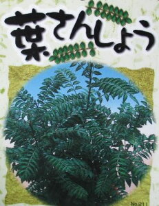 R@c@c؁@tRit񂵂傤j3|bgA@nTVE