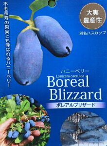 nXJbv@c؁@nXJbv@{AuU[h@i{AV[Yjc@Fʎc@nj[x[