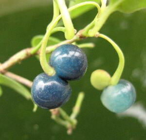 rE^(ڗZ\)@c@c؁@|bgA