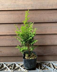 [qmL@iwAIESqmLj@c@c؁@؁@|bgA