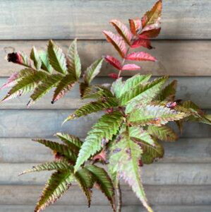 iiJ}h@c@c؁@15`20Z`x