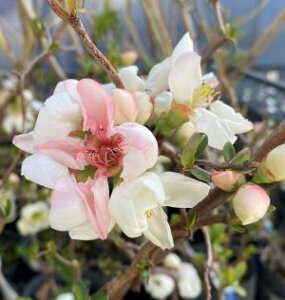 {P@c؁@_{Pi_؉Zj@TTEE@Xщ_؉Z@c@؁@|bgA