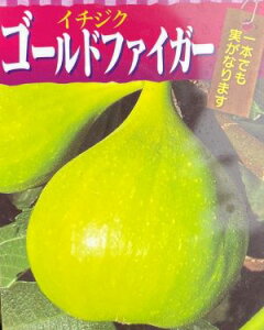 @c؁@S[ht@CK[@iC`WNj@@Fsʎct