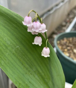 FXYisNXYj|bgAc@c@hCcXY@闖@c@