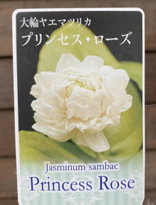 ֔d炫}cJ@vZX[Yi3|bgAjyMѐAEnCACt[EsJPEWX~E}cJz