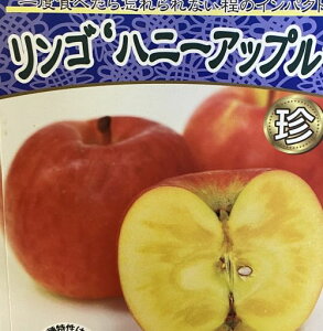 nj[Abv@񂲁sʎct ь@c@c