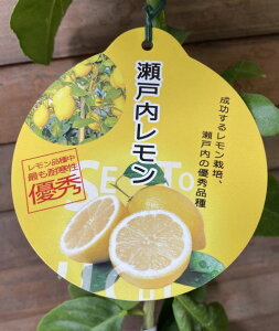 @c؁@˓@EGiƂj@c؁@ʎc@kc@c؁@ږ؁@c@݂@