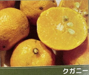 ꊹk@NKj[iENKjj@c؁@sʎct@kc@ږ؁@c@݂