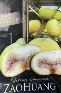 @c؁@UIt@O@iC`WNj@sʎct5|bgA@ԉ