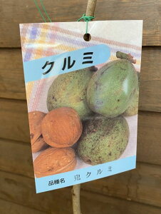 ӓ@݁@c؁@IjN~iSӓj@csʎctSO~@IjO~@SN~