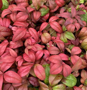 ܐFViI^tNieASVLiejie@3|bgA@@c@c؁@