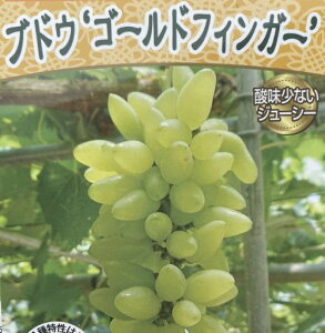 S[htBK[iԂǂj}؁@c c uhE sʎct sʎct