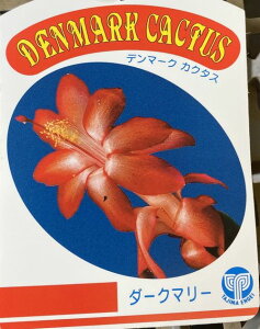 f}[NJN^X@_[N}[@iVRoT{ej5A