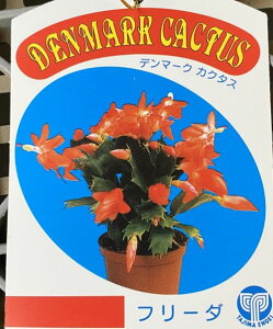 f}[NJN^X@t[_@iVRoT{ej5A