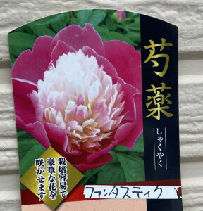 䉖iVNNjt@^XeBN@c@|bgA@t@^XeBbN