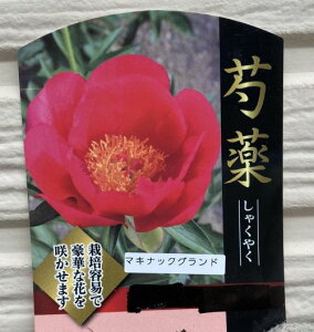 䉖iVNNj}LibNOh@c@|bgA