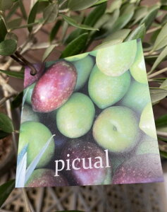 I[u@c@c؁@isNAj@ƌL@4A@sʎct