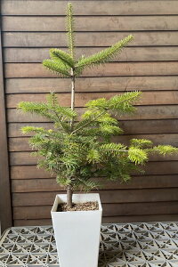 yiIz~̖؁i6XNGAAj{̃~mL@ꂩ80Z`x