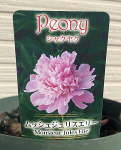 2N{劔䉖iVNNj@bVWGX[@@c