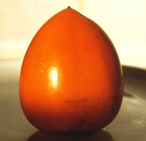 `@c؁@c@xm`@(a`jsʎct