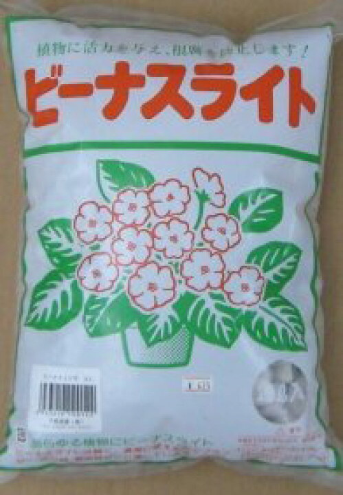 楽天市場 ビーナスライト 号 大粒 ４l 日本花卉ガーデンセンター Annex