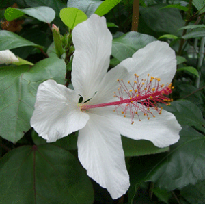 ynCrXJXzy荢 z@nCrXJXA[mbeBAkXinj@c@c؁@*G߂ɂAtԂ̓Tvʐ^Ƒ傫قȂꍇ܂yMѐAEgsJ