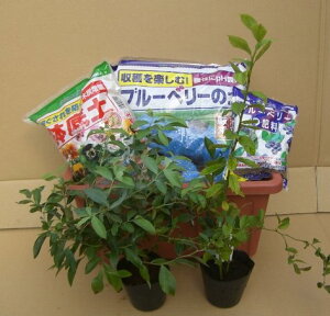 u[x[琬ZbgirbgACn2{jc؁sʎct@ X^[^[ Zbg