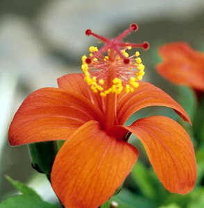 ynCrXJXzRLIEZgWjAkXiIWj@c@c؁@yMѐAEgsJt[EnCAt[EnCrXJXz*G߂ɂAtԂ̓Tvʐ^