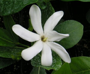 N`iV@c@c؁@^q`N`iVAieBA^q`@j3.5`4|bg