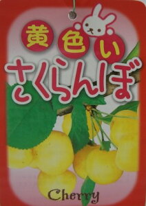 TN{@c؁@ځiTN{jsʎct@ځ@c؁@c@ږ؁@ʎc