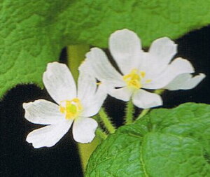 TJEiRחtj|bgAc@XPgt[