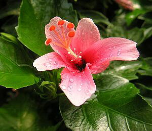 ynCrXJXzqnCrXJX@~jsNiPnCrXJXj@c@c؁@*G߂ɂAtԂ̓Tvʐ^Ƒ傫قȂꍇ܂@yMѐAEgsJt