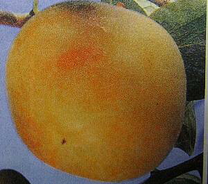 `@c؁@c@zL(Ê`jsʎct