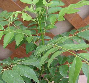 J[mLiJ[̖؁j10Z`x@c@c؁@J[[t̖