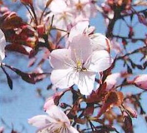 @c؁@䉮@@c؁@c@y؉Ԗ؁EETNEz