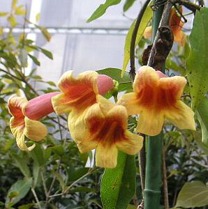 rOmjAiJ[Jdj@c@c؁@|bgA