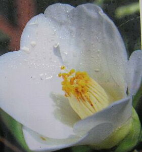 Qty֕c؁z@xiցj c@c؁@CbLE@yԖؒ؁EցEcoLE΂z