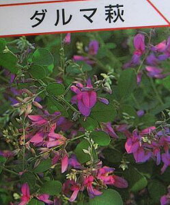 @_}@i|bgcj@_}nM@c@c؁@