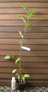 jICRuV(^Voj20`30Z`x@c@c؁@