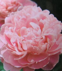 䉖iVNNj@Txi[@|bgA@@c