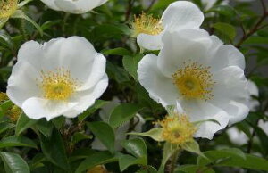 ijCo@ijmCo@ijmoigKNj@|bgA@c@c