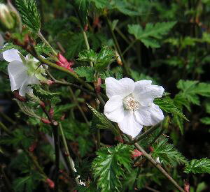 ~WoLC`S@gt䕁i䕁j~WC`Ssʎct@c@c