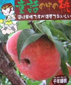 @c؁@N崓i˂΂Ƃj@ijsʎct@̕c