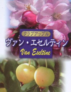 NuAbv@@EGZeB@c@c؁@񂲂̕c